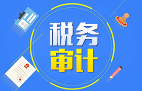 税务审计